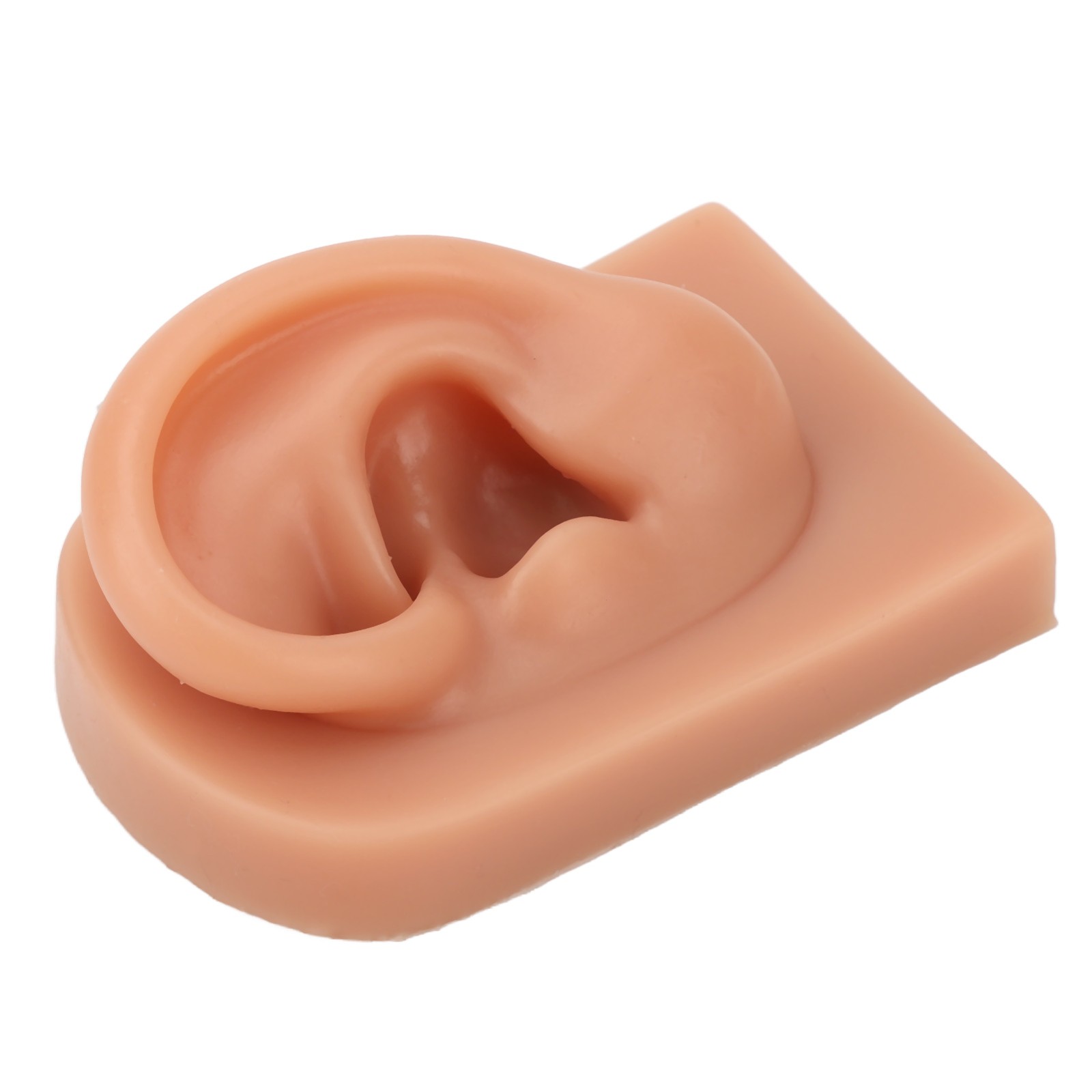 Professional Piercing Practice Ear Model For Earrings Display NEW↑