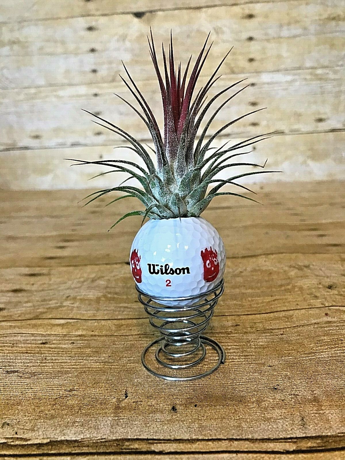WILSON CAST AWAY VOLLEYBALL GOLF BALL WITH AIR PLANT AND STAND TOM HANKS ⛳ART⛳