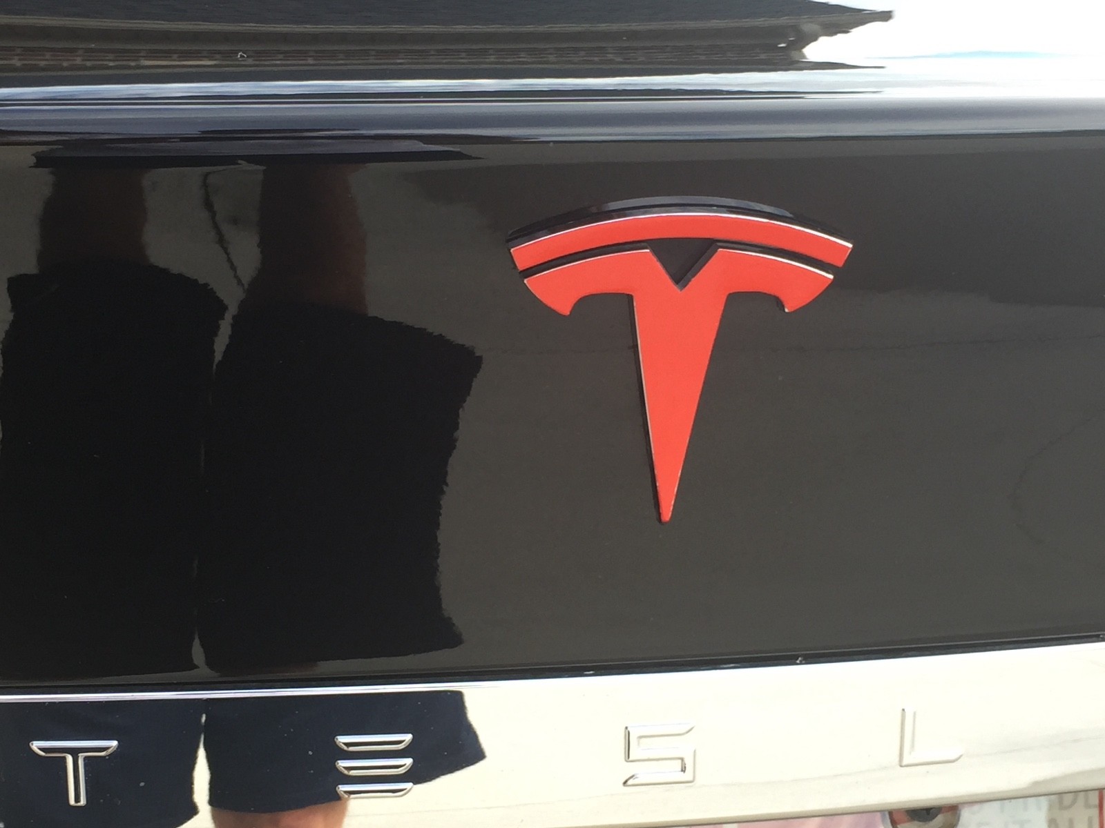 Tesla Model S Tailgate "T" Logo Emblem Decal Accent - Many Colors!!