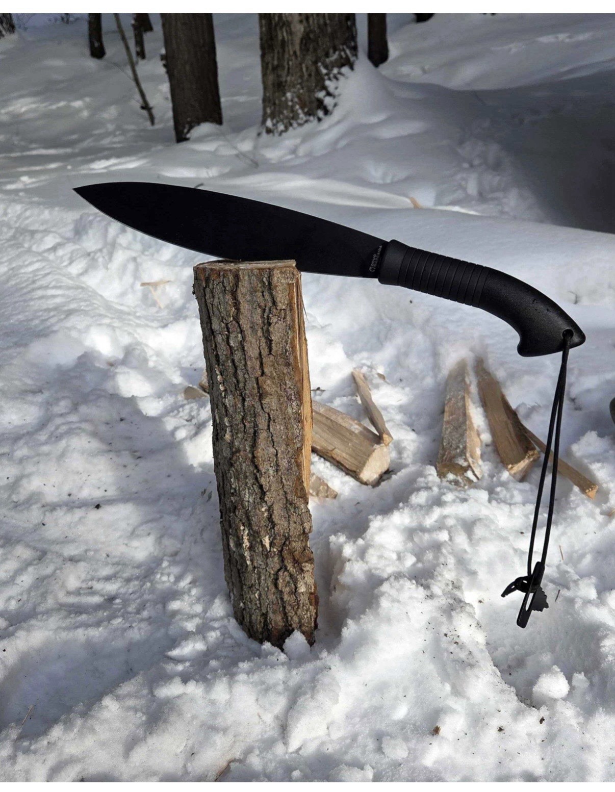 Doug Marcadia Battlespear