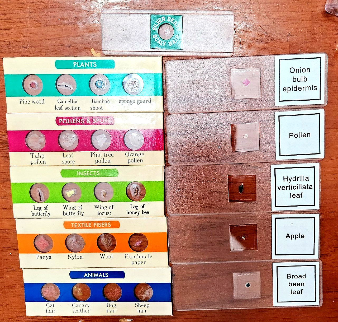 50+ Specimens on Prepared Slides for Microscope - New & Vintage Slides - Biology