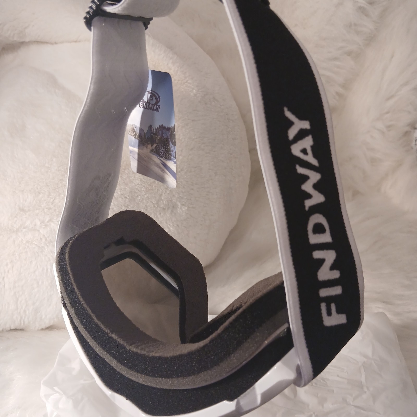 Ski Goggles