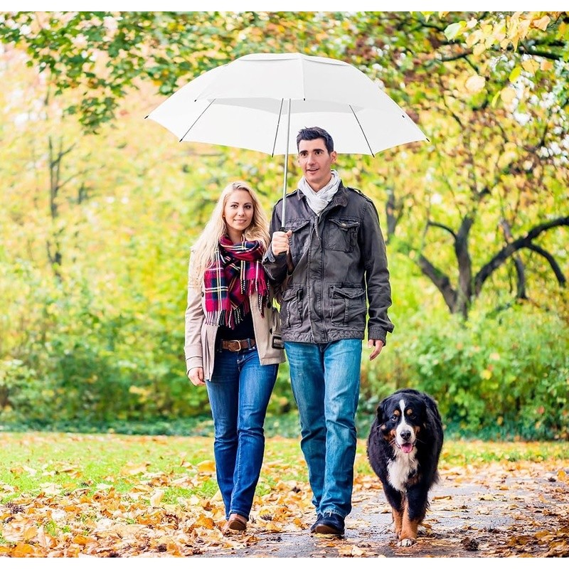 Windproof Double Canopy Travel Umbrella Auto Open Close Compact Lightweight New