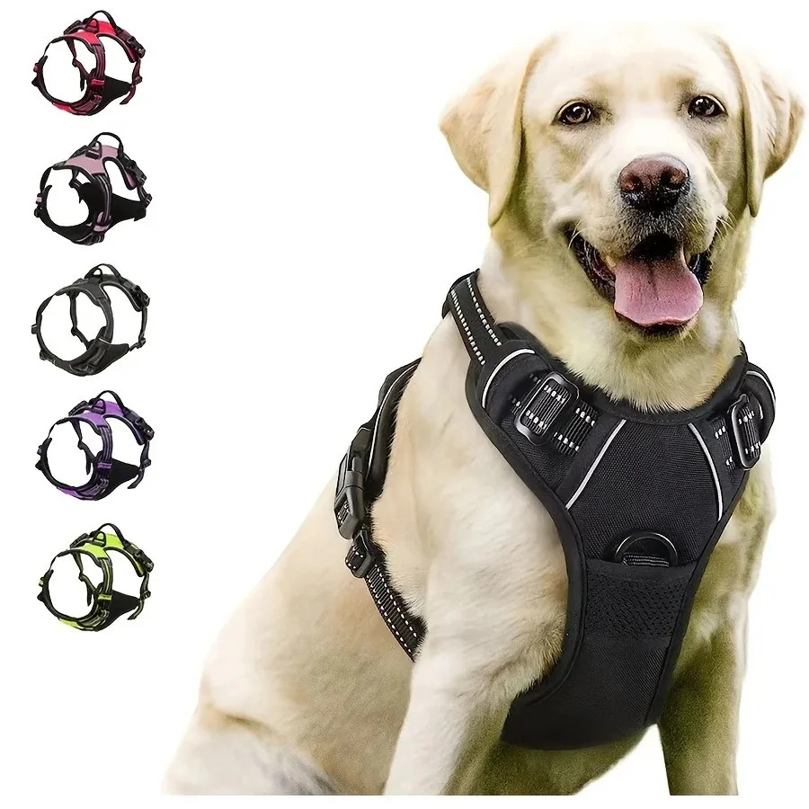 Dog Collars Harness Big Vests Leash Pet Shop Everything for Dogs Leather Puppy A