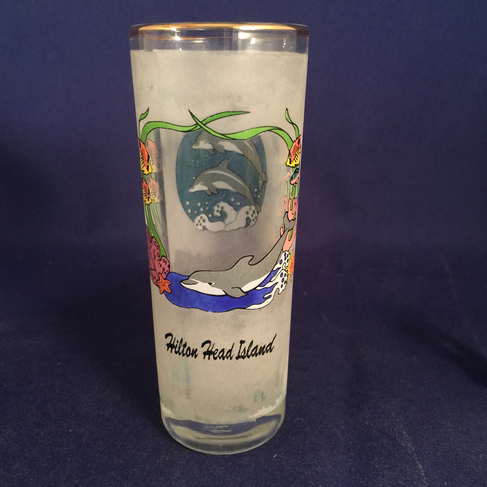 Hilton Head Island Souvenir Shot Glass Dolphins Sea Ocean Scene