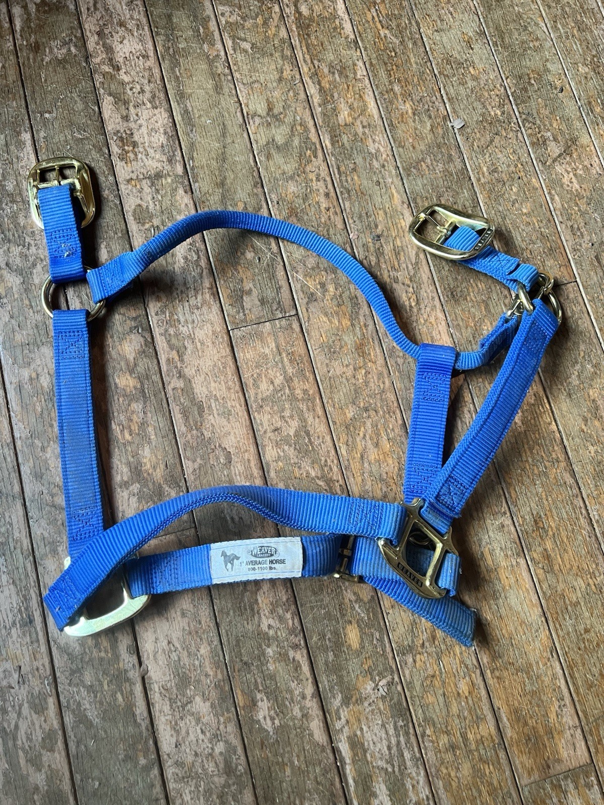 Weaver Horse Halter Blue Nylon 1” Average Horse 800-1100 Pounds Used