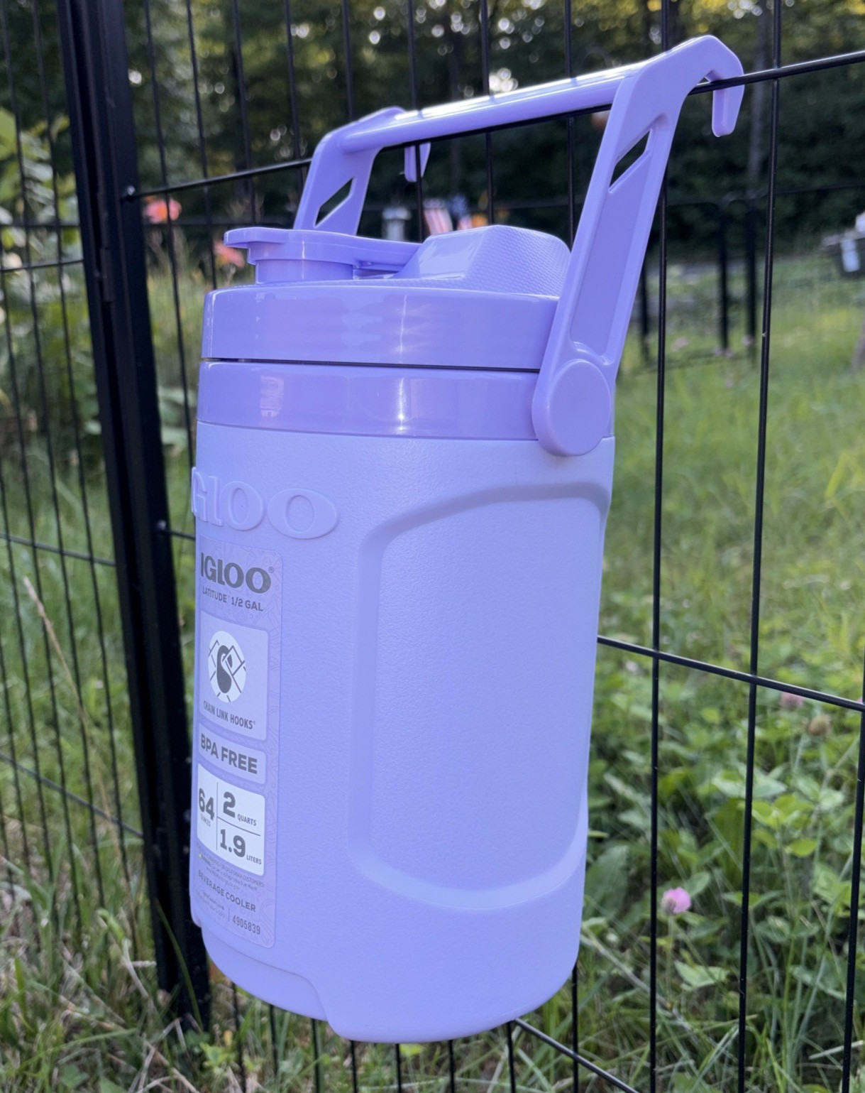 Igloo Latitude Half-Gallon Cooler Jug- Hangs on Fences - 64oz/2Qt - Purple