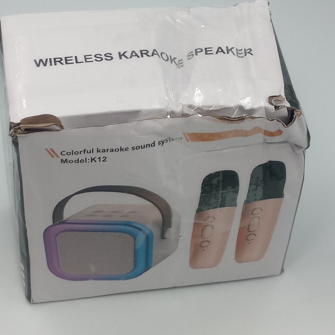 Mini Karaoke Machine Portable Bluetooth Speaker with 2 Wireless Microphones READ