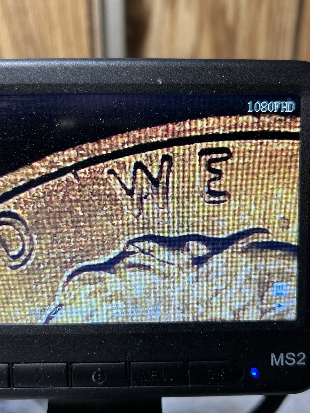 2022 P Lincoln Shield Cent. Spiked head Die Crack
