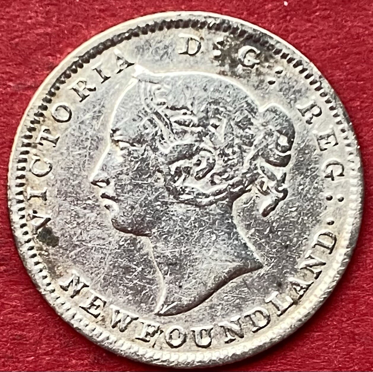 1896 Newfoundland 5 Cents - VF - Lot#8502