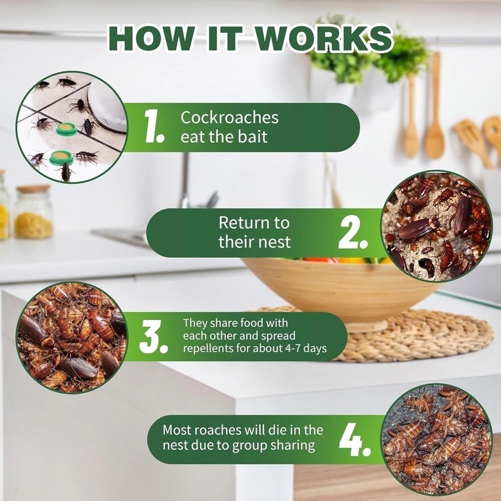 24PCS/Pack Roach Bait - Cockroach Killer Indoor Infestation