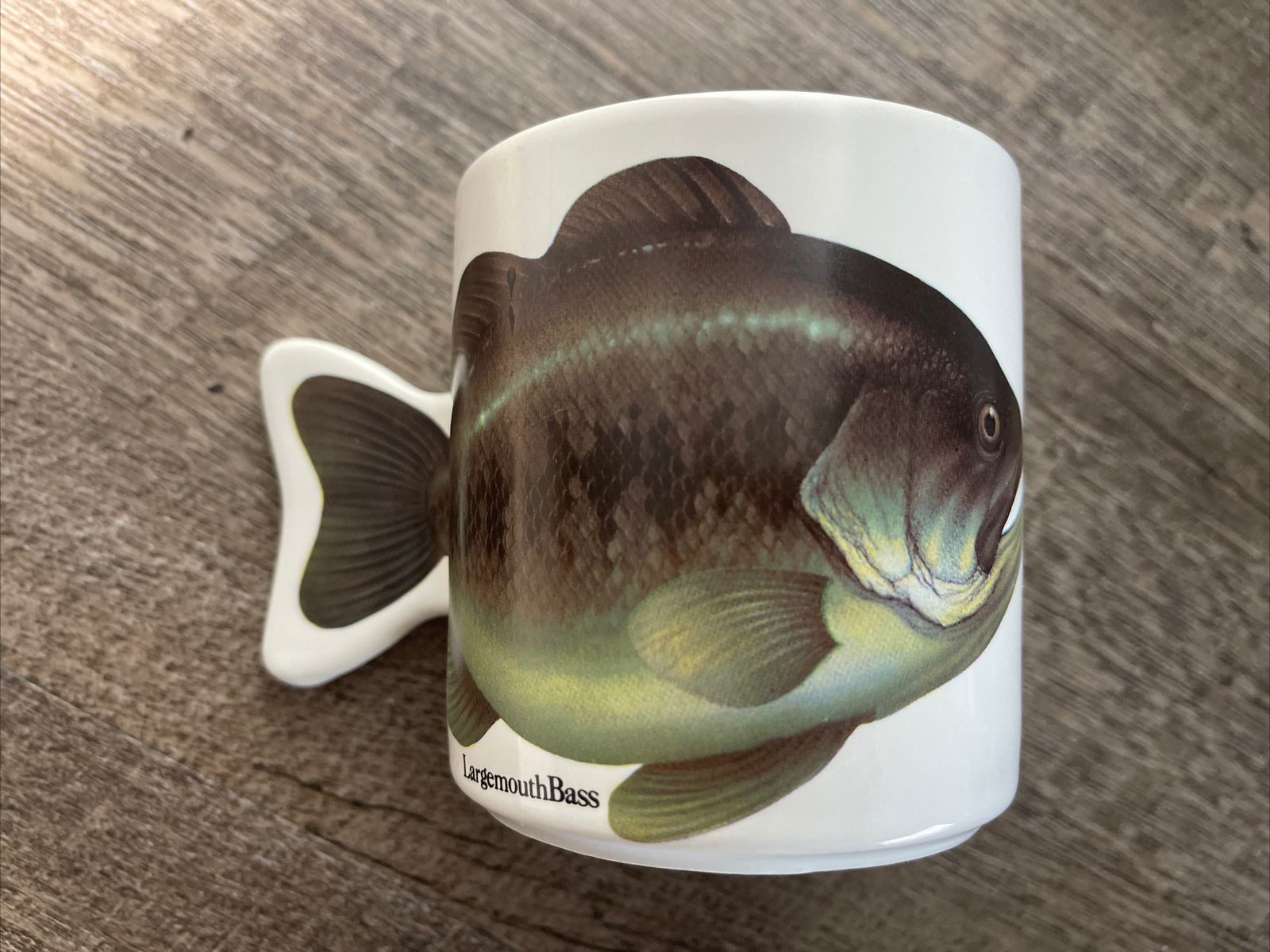 Vintage Large Mouth Bass Fishing Coffee Tea Cup Mug Fish Fisherman By Salamander