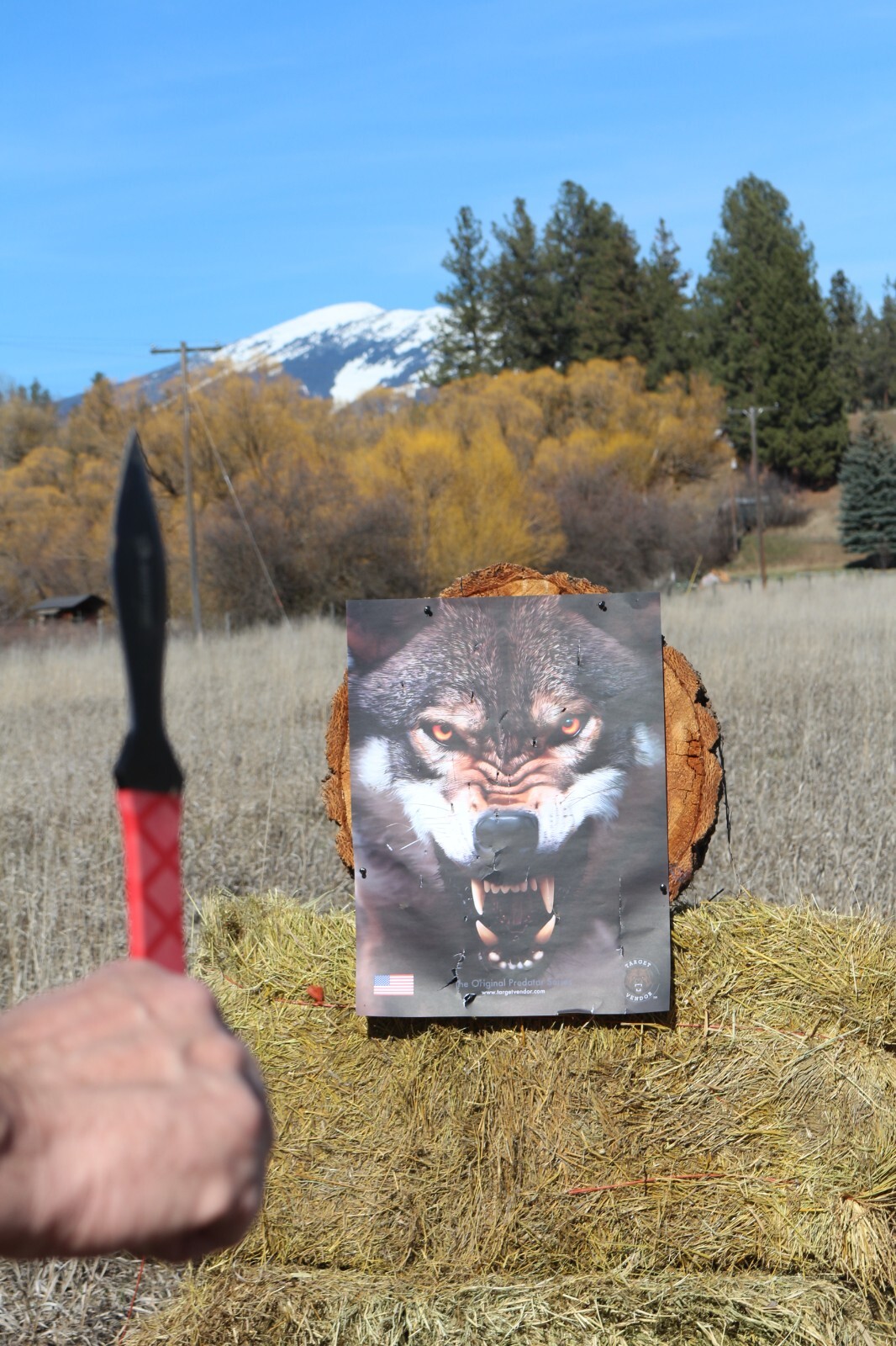Paper Targets for Handgun Practice High Quality Wolf Target, shooting practice
