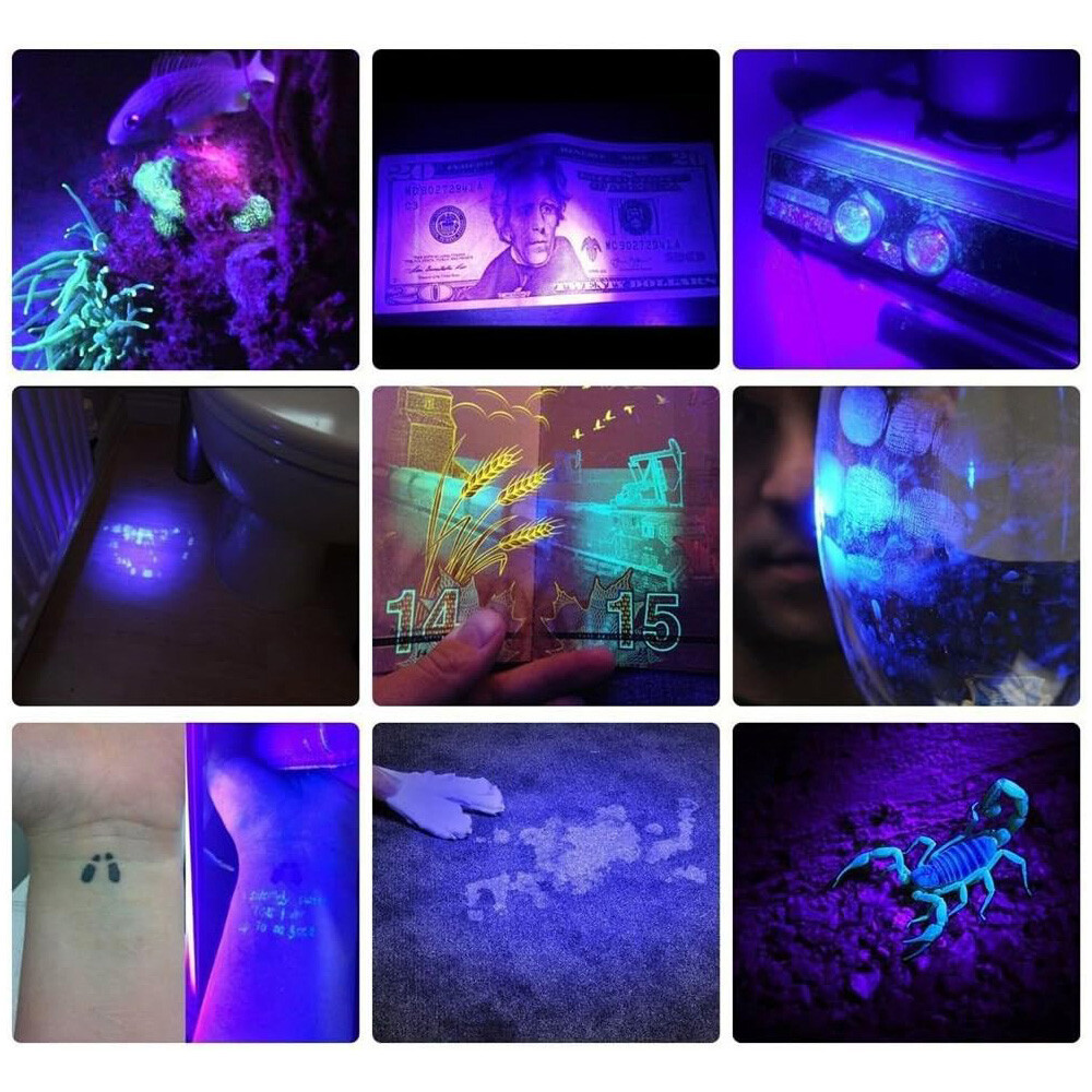 USB Rechargeable UV Light LED Flashlight 365nm Blacklight Inspect Torch Zoomable