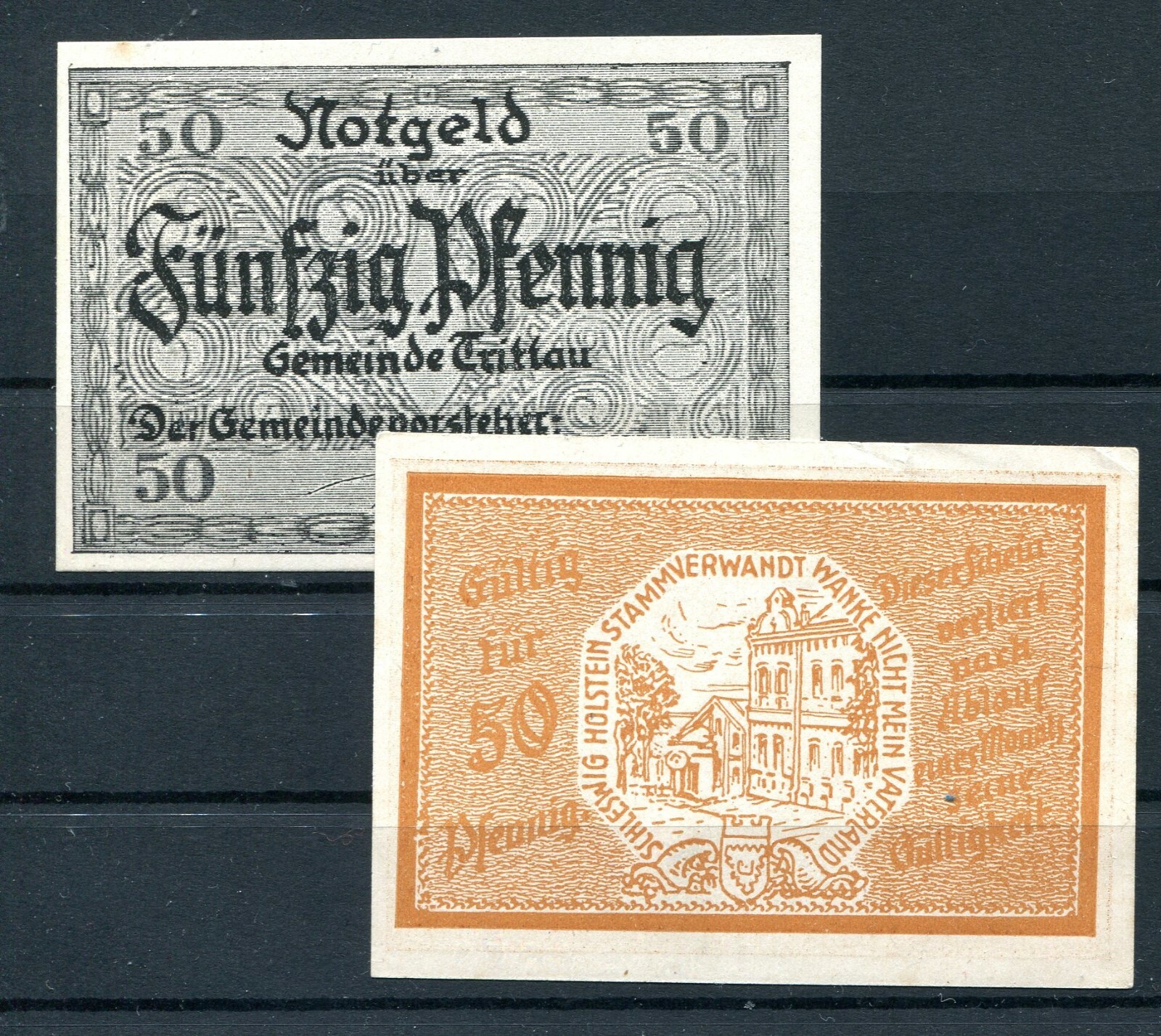 Trittau 2 x Banknotes Emergency Money z1560