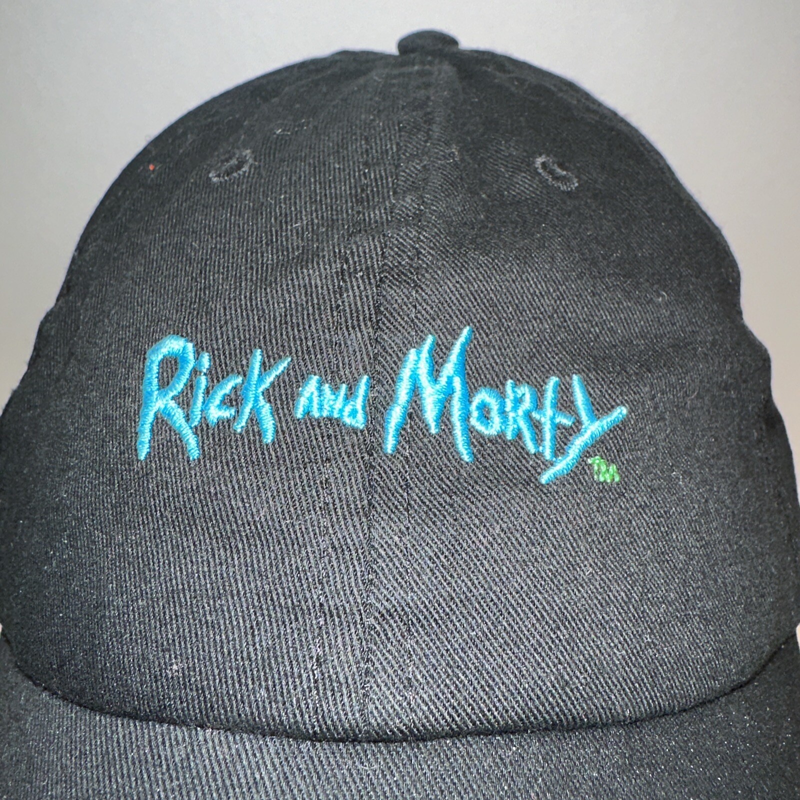 Rick & Morty Adult Swim Cartoon Black Hat Cap Bio-World Strap Buckle