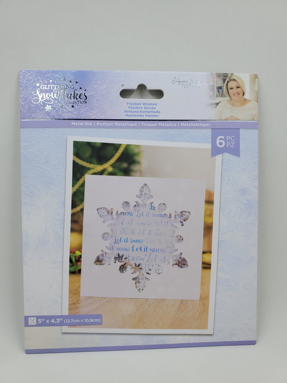 CCH3 Crafters Companion Glittering Snowflakes Frosted Window Metal Die 6pc Set