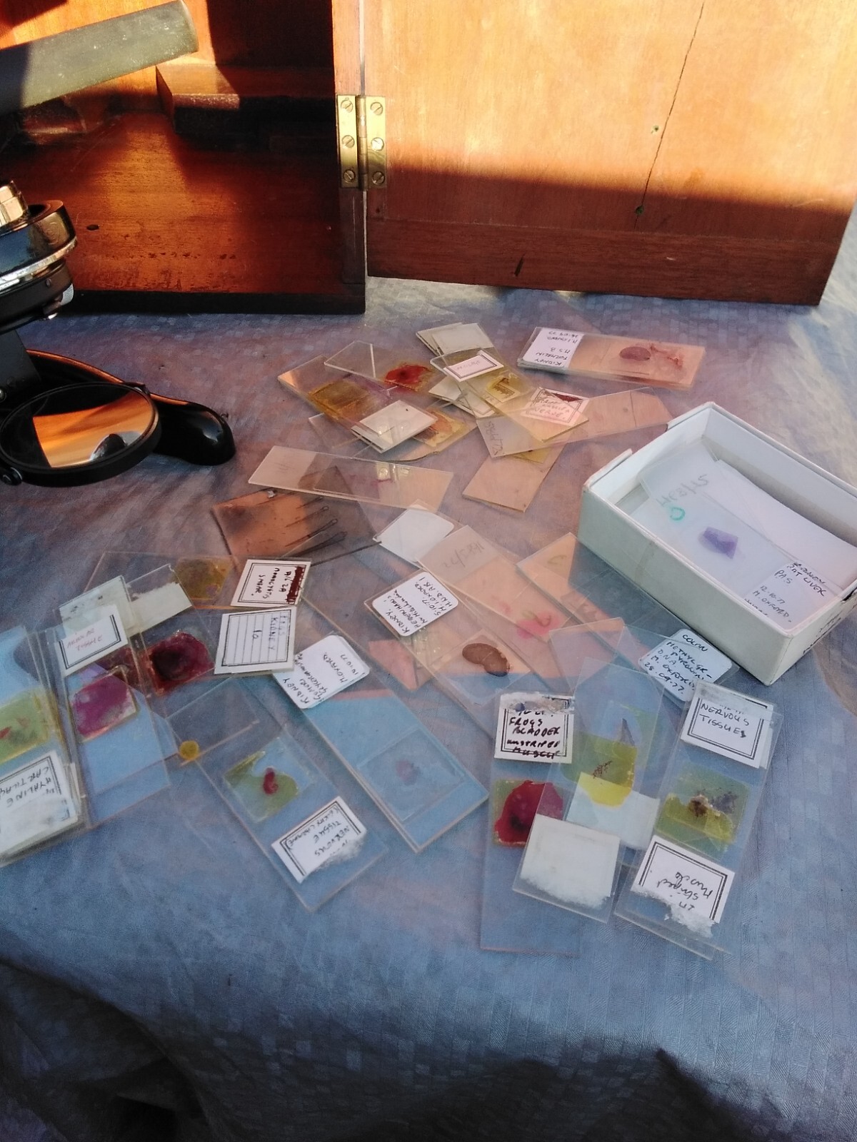 MICROSCOPE WATSON & SONS SERVICE MICROSCOPE AND CASE AND GLASS SLIDES