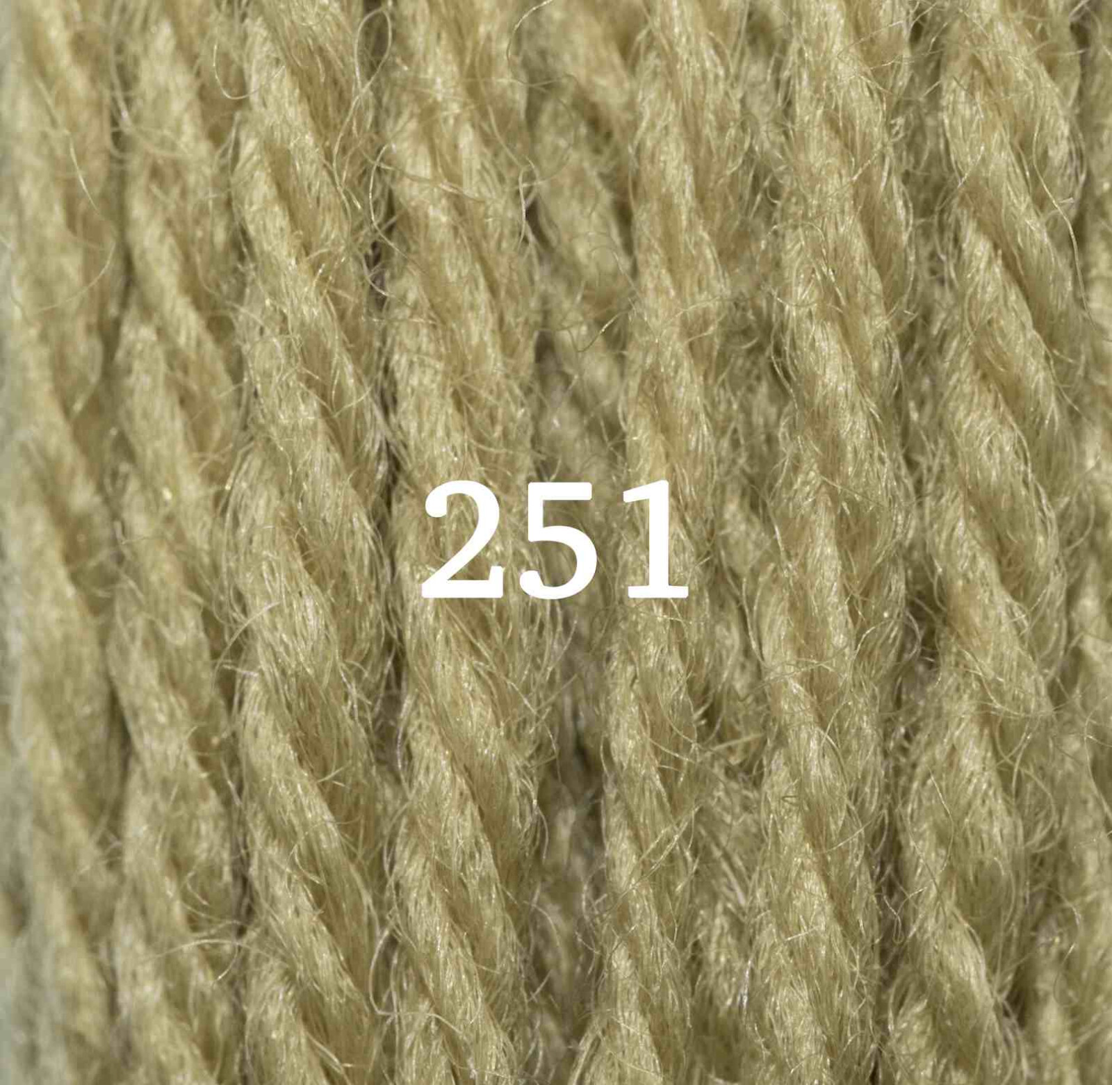 Appleton Crewel Wool - 27 Yd Skein - Grass Green Color 251