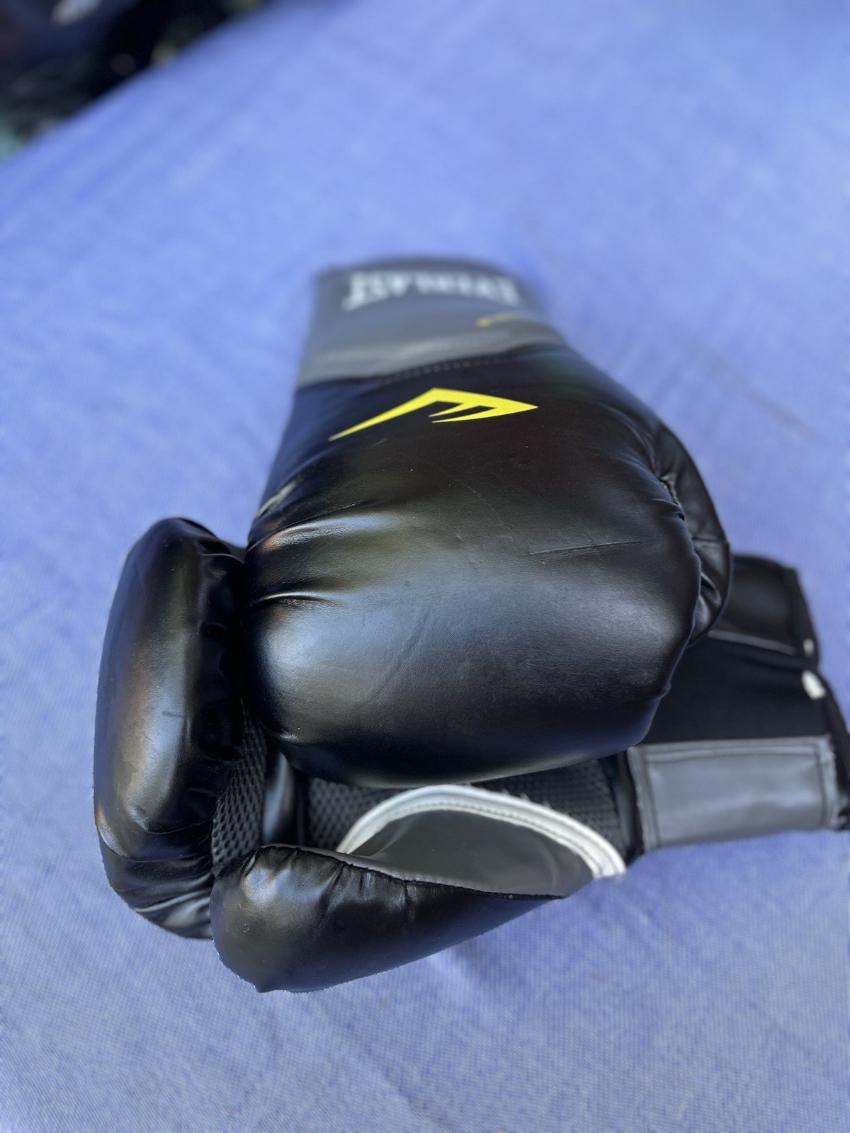 Everlast Training Boxing Gloves Pro Style Elite Evershield 16 Ounces Black Gray