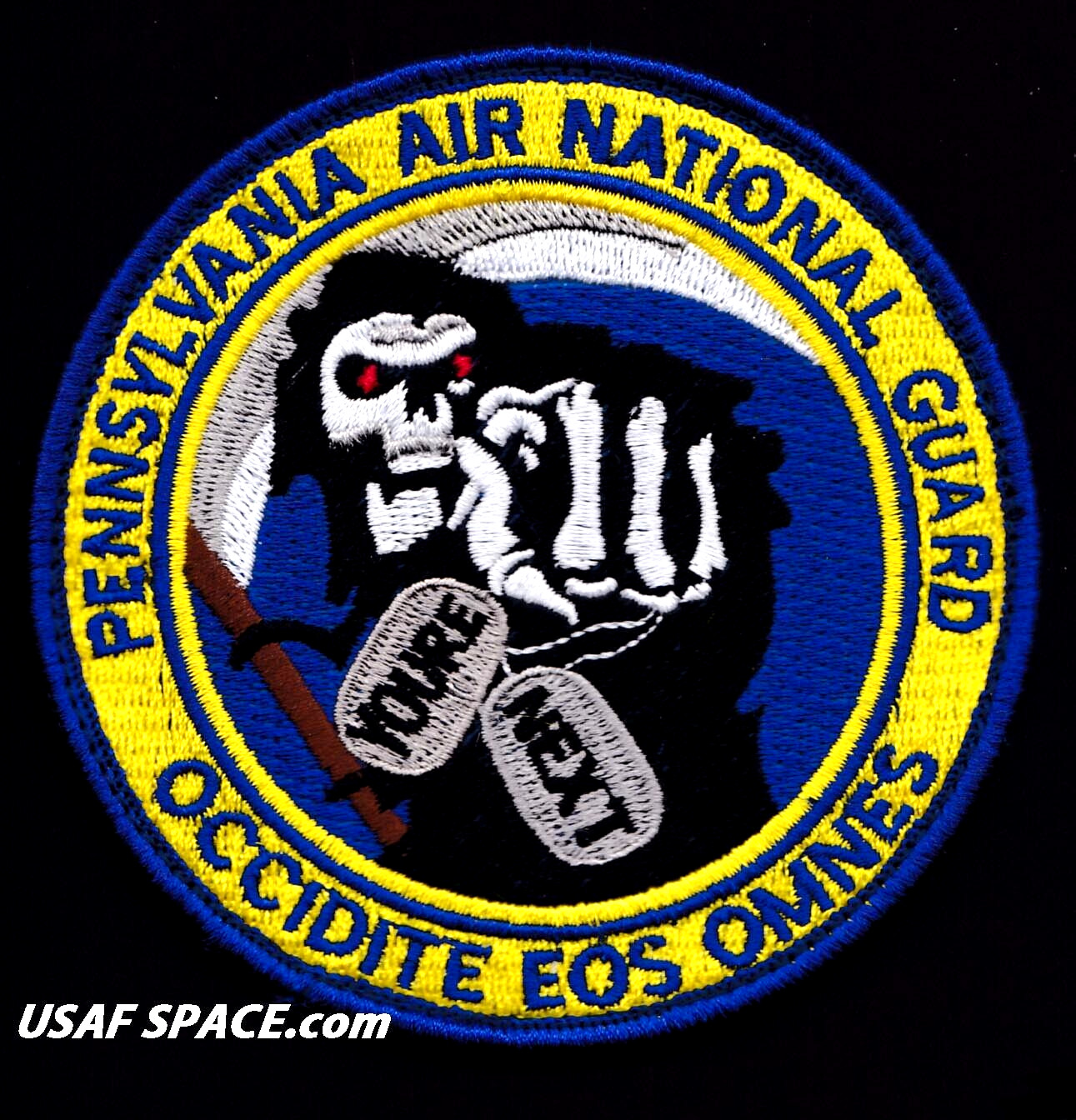 USAF 103rd ATTACK SQ -103 ATKS- MQ-9 REAPER UAV -PA ANG-ACC- ORIGINAL 4" PATCH