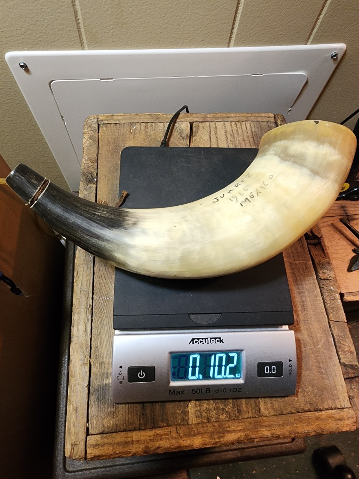 Vtg Muzzleloader Black Powder Hunting Bull Horn 12" Tri Color w Strap Large