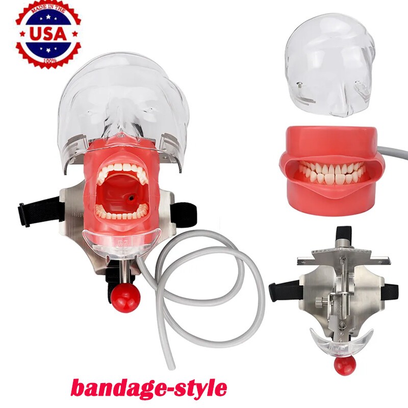 Student Dental Teaching Head Mold Oral Simulation Simple Head Mold Adjustment2pc