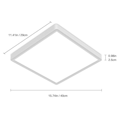 12 inch Dimmable LED Flush Mount Ceiling Light with Remote, 1 Pack (Dimmable)