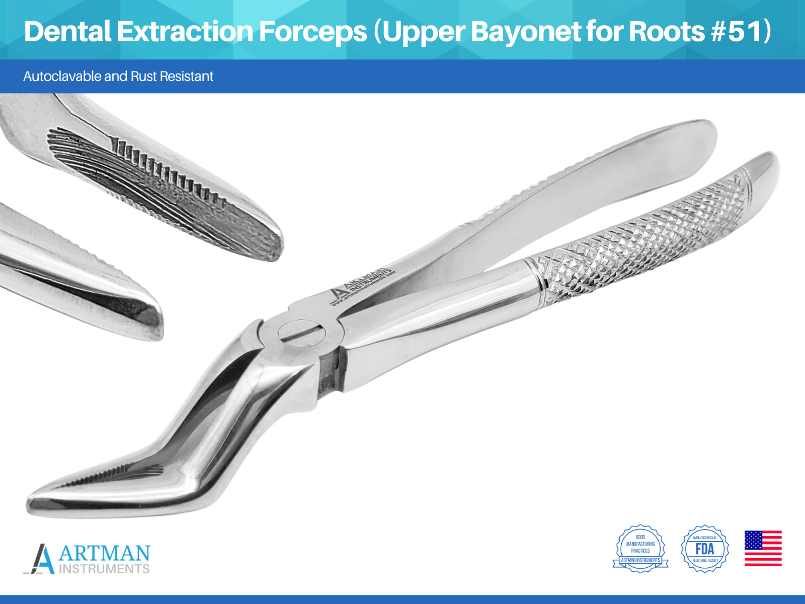 Dental Extraction Forceps (Upper Bayonet for Roots #51) ARTMAN
