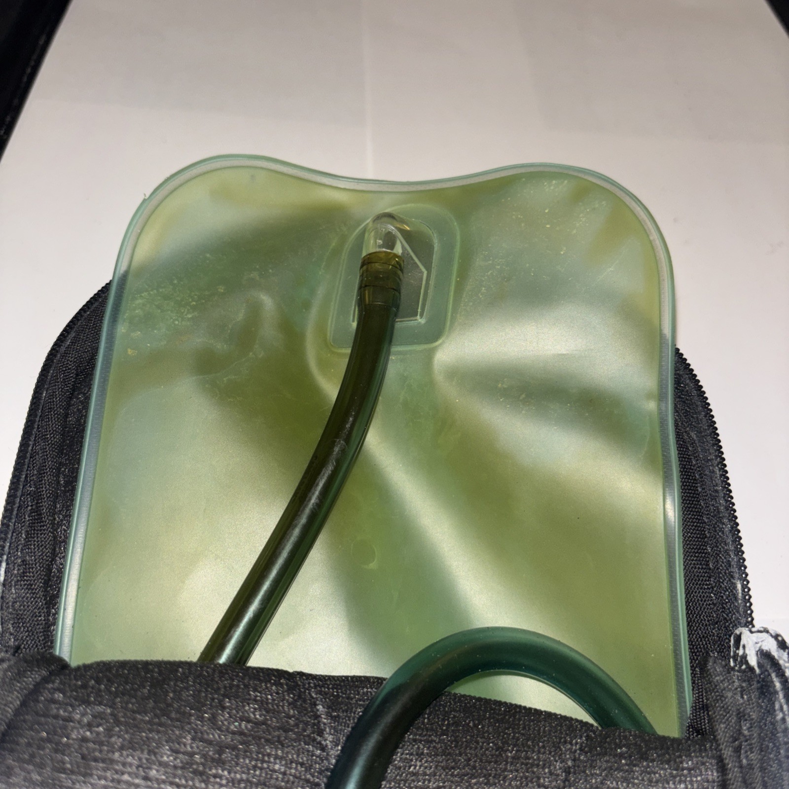 Camelbak Rogue Backpack Bladder Should Probably Be Replaced Or Cleaned Well.