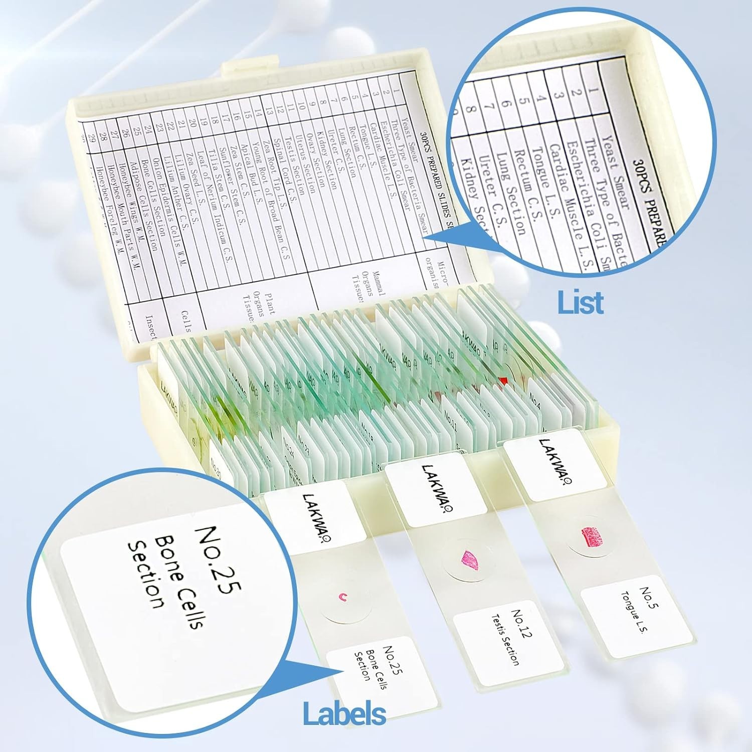 Educational Microscope Slides Kit with 30 Prepared Specimens for Beginners