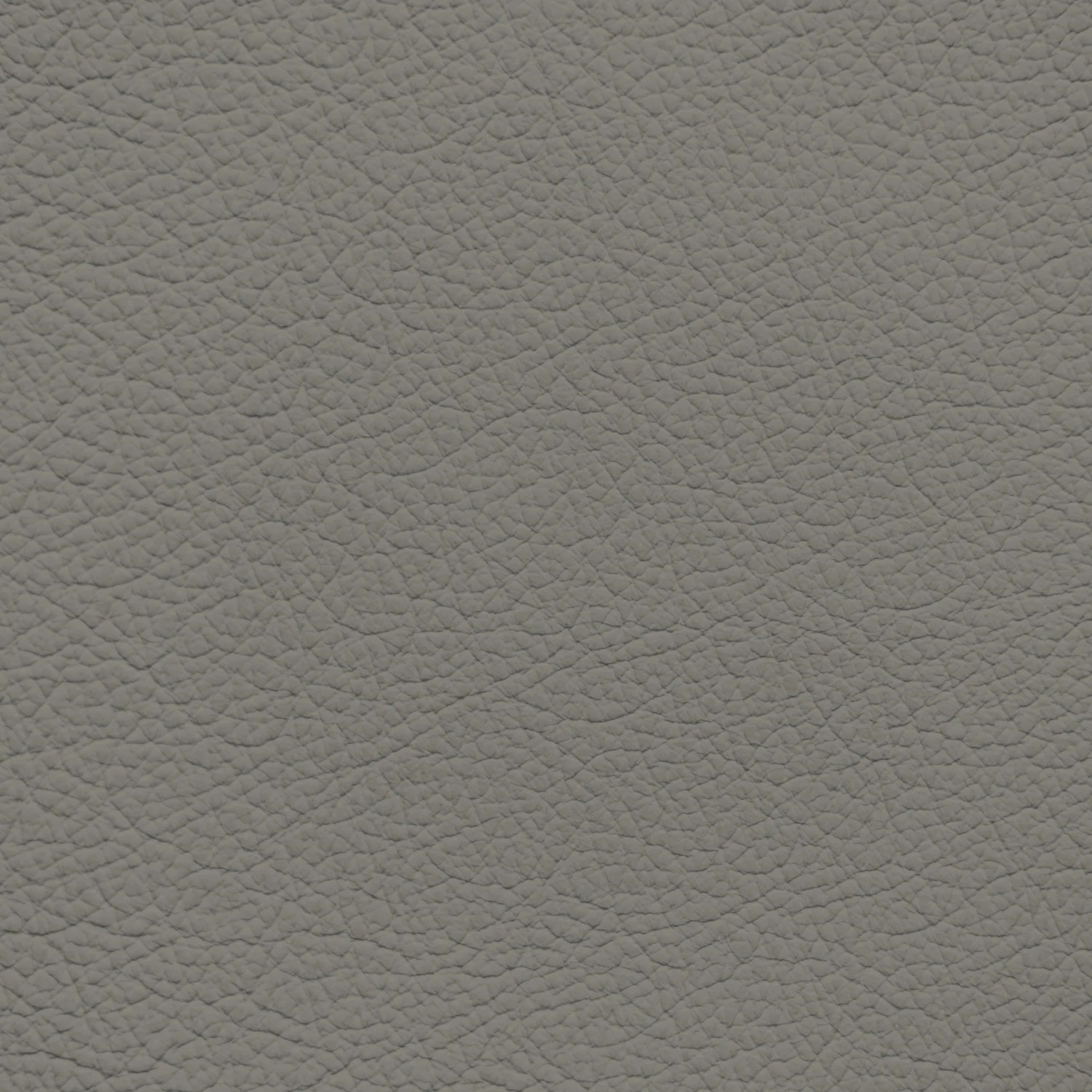 Audi Jive Grey Leather Dye