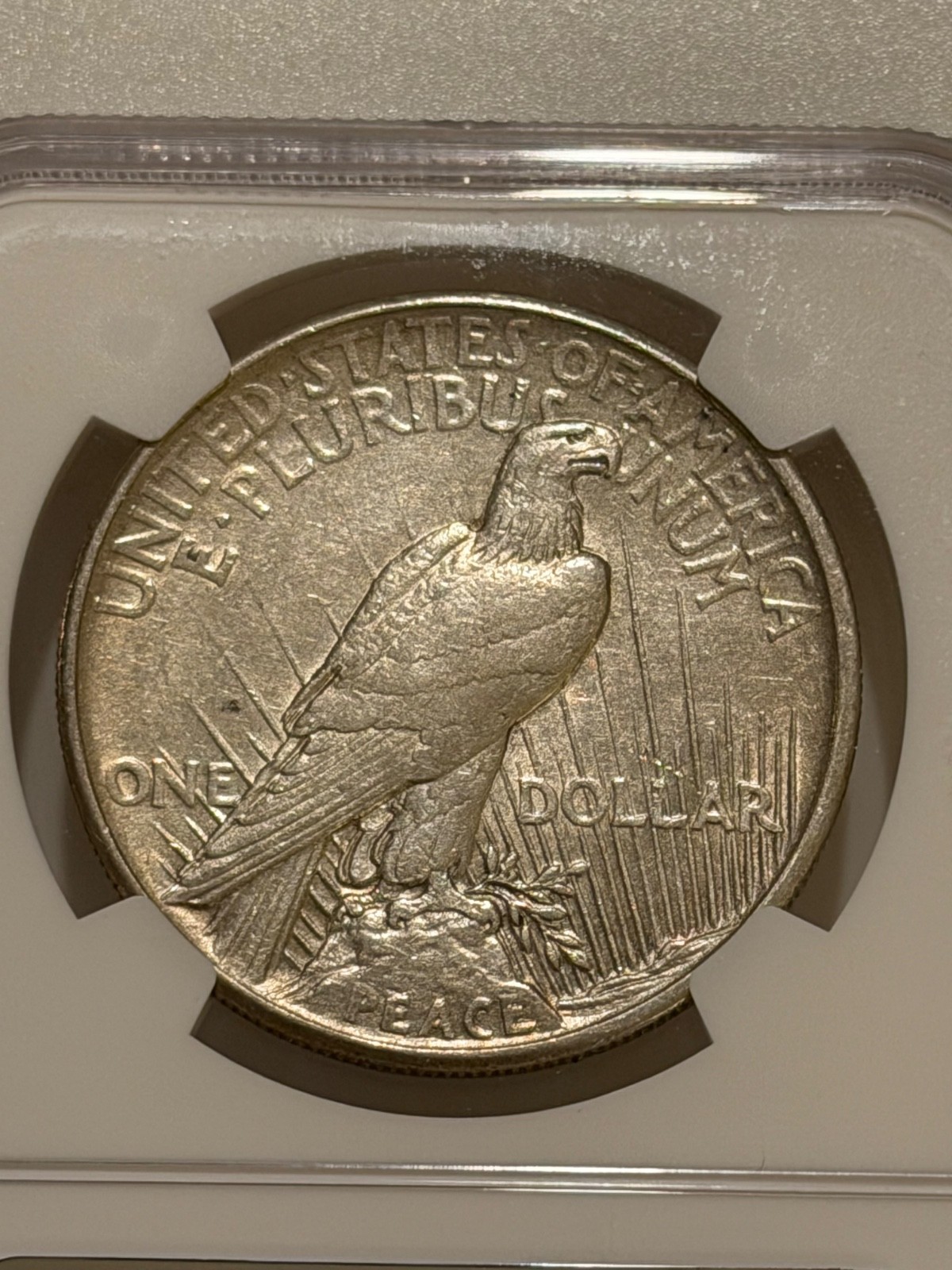 1921 Peace Silver Dollar NGC AU Details Key Date Peace