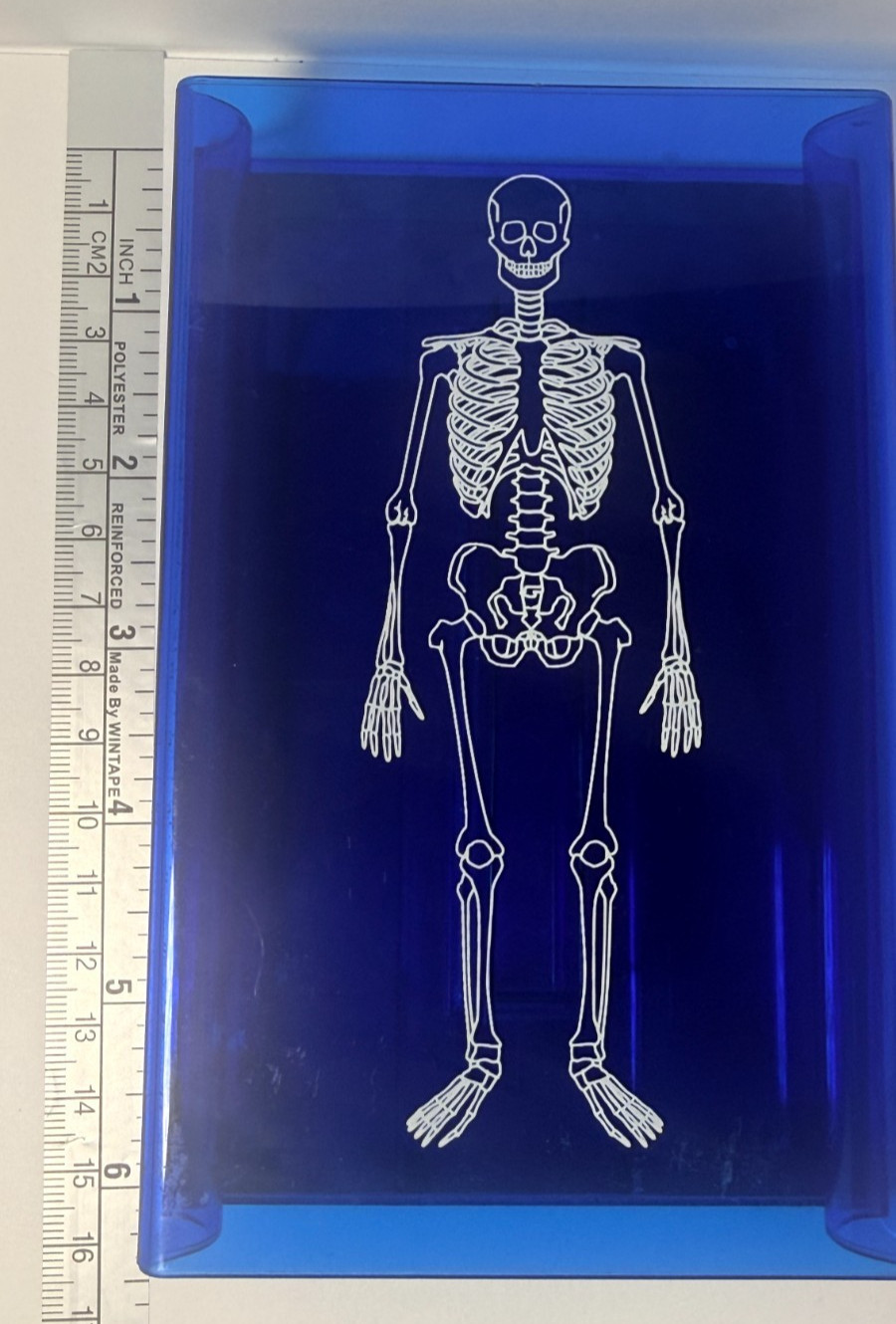 Learning Resources Skeleton Stamp Science Anatomy Classroom Homeschool