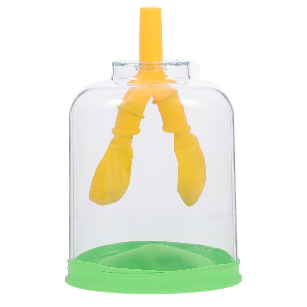 Lung Demonstration Model Function Teaching Aid
