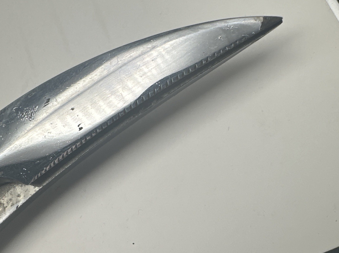Thurnauer Poultry/Meat Shears Chrome Italy-Read
