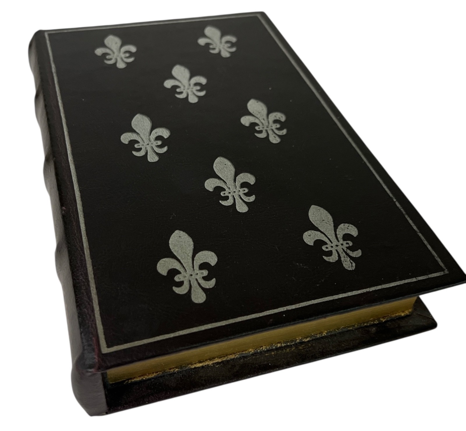 Hideaway Faux Book 6" x 9-1/2" Hide Valuables Realistic Looking Treasure Island