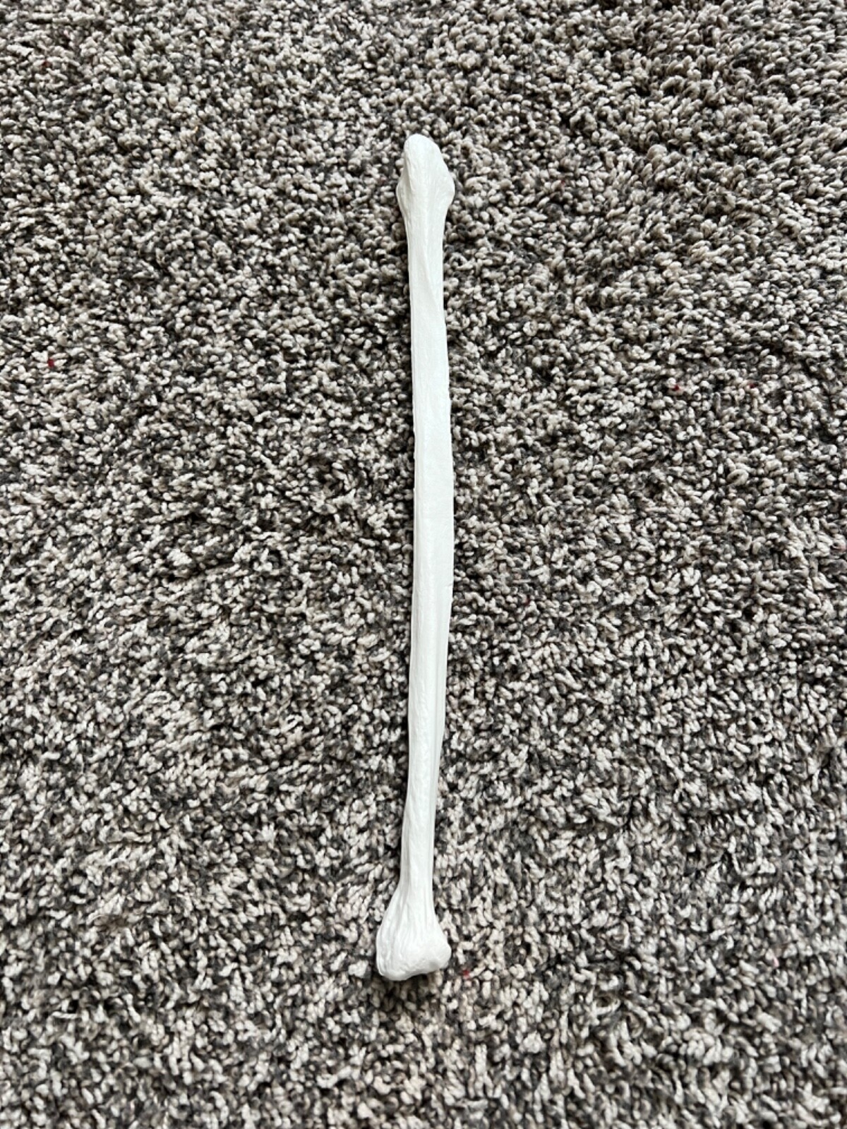 Axis Scientific Lower Extremity Bone Models