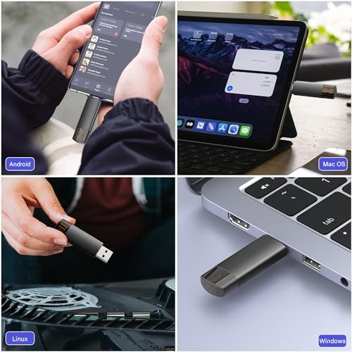 256GB USB C Flash Drive Dual USB 3.0 Flash Drive Type C + USB A 256 Gb 1 Pack