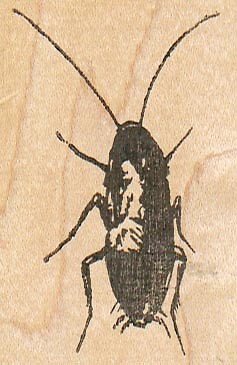 Roach 1 3/4 x 2 1/2" Rubber Stamp, Cockroach Stamp, Insect Stamp