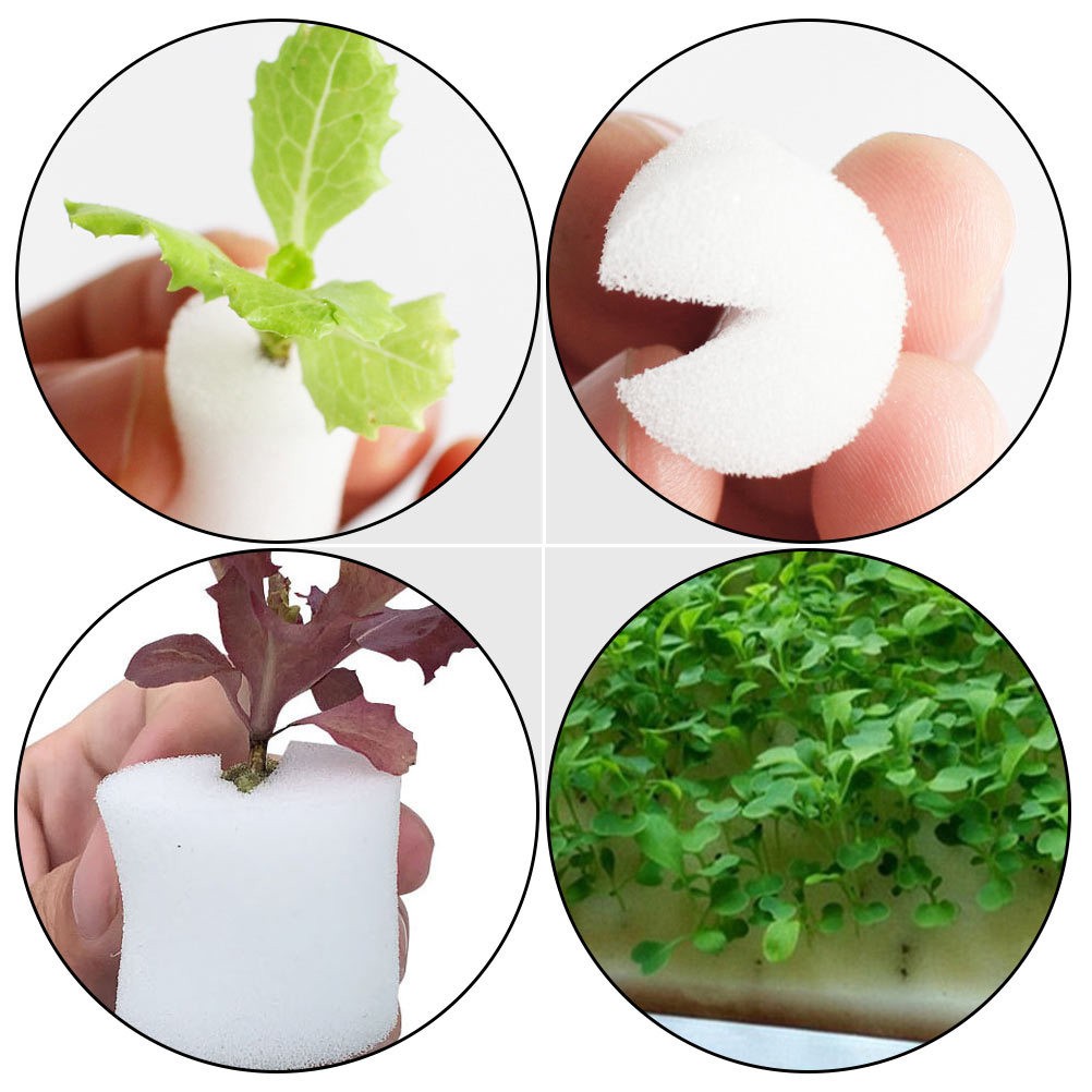 120 Pcs White Soilless Hydroponic Sponge Blocks for Vegetable Growing
