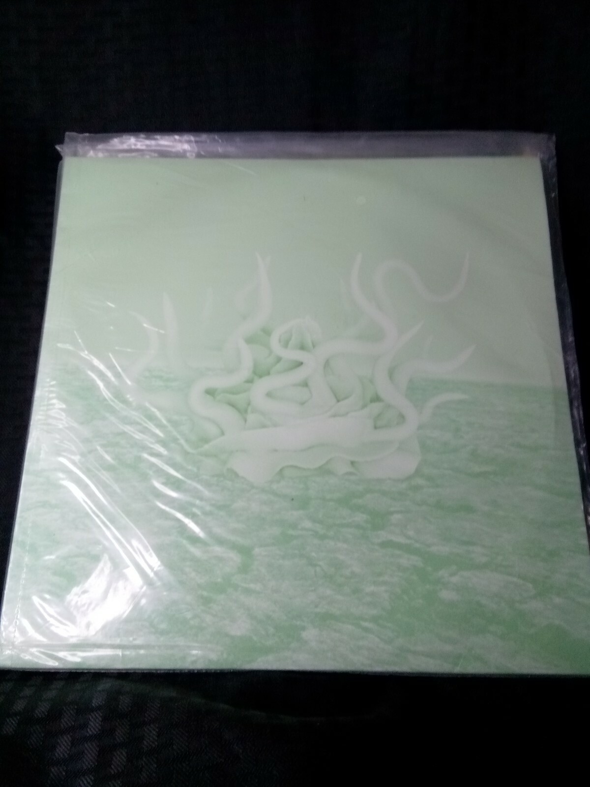 LIMITED Serato pastel Green (Mint green) 12" inch CV control vinyl SEALED!!!