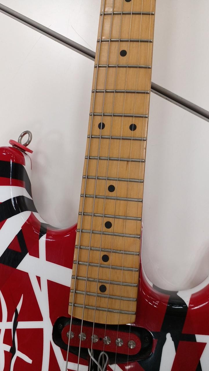 Unknown Stratocaster Type Franken Style