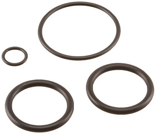 Pentair 273109 Noncorosive Slide O-Ring Replacement Kit