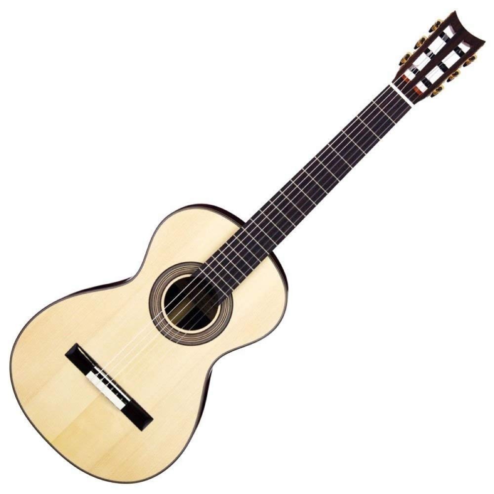 Aria Classical Guitar 19Th Century Style A19C-100N JAPAN NEW w/Tracking F/S