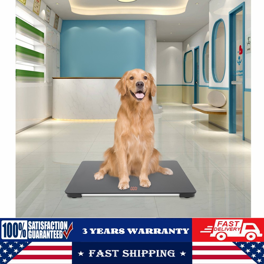LCD Pet Store Hospital Scale Large Dog Weighing Scale 100KG High Precision Scale