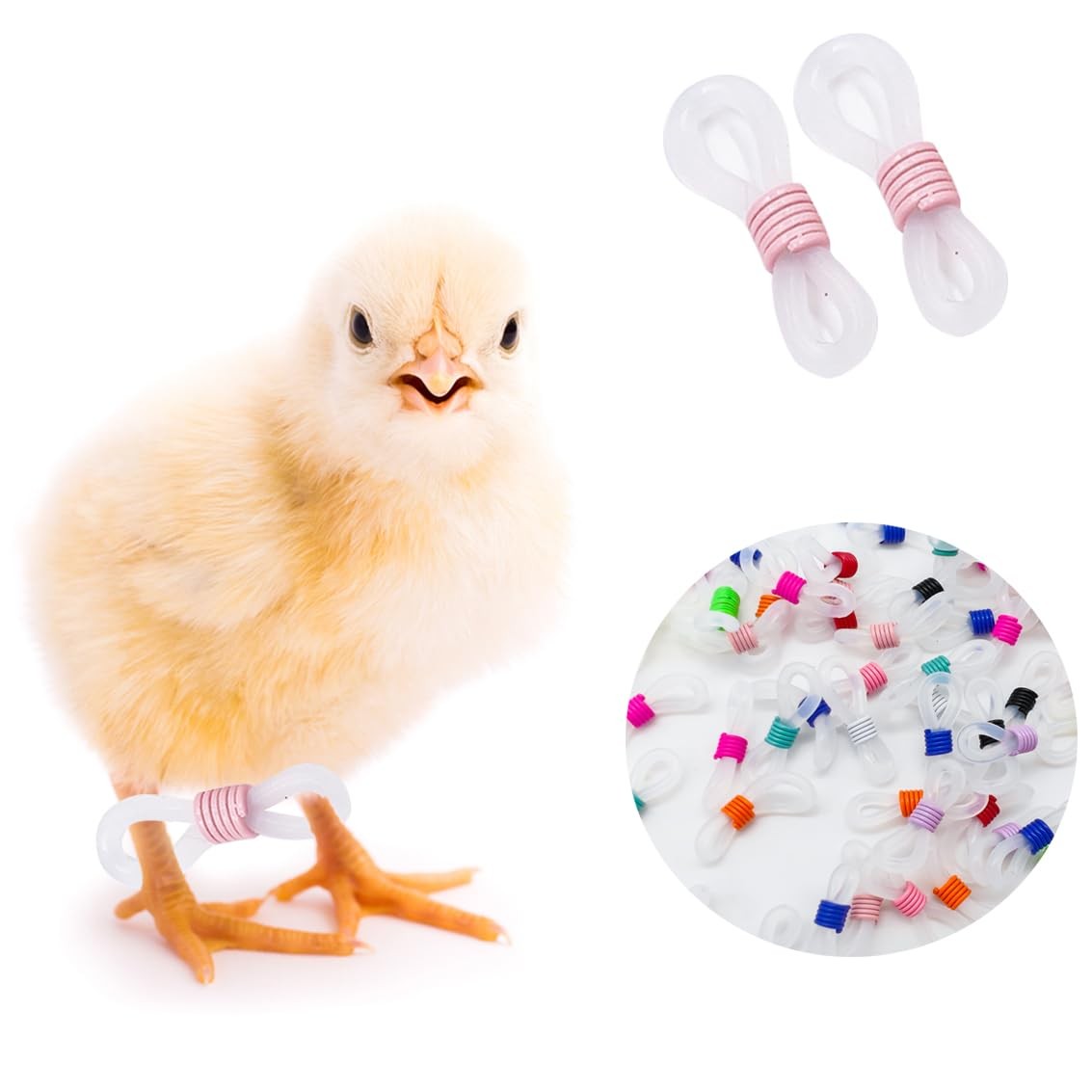 50 Pieces Baby Chick Splay Leg Hobble - Chicken Bands for Spraddle Repair (1-...