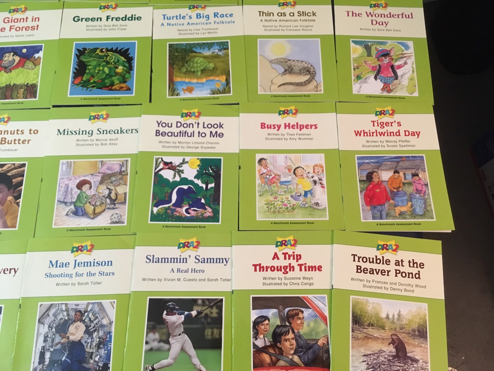 DRA2 Developmental Reading Assessment K-3 Grade K 1st 2nd 3rd 22 Books Readers