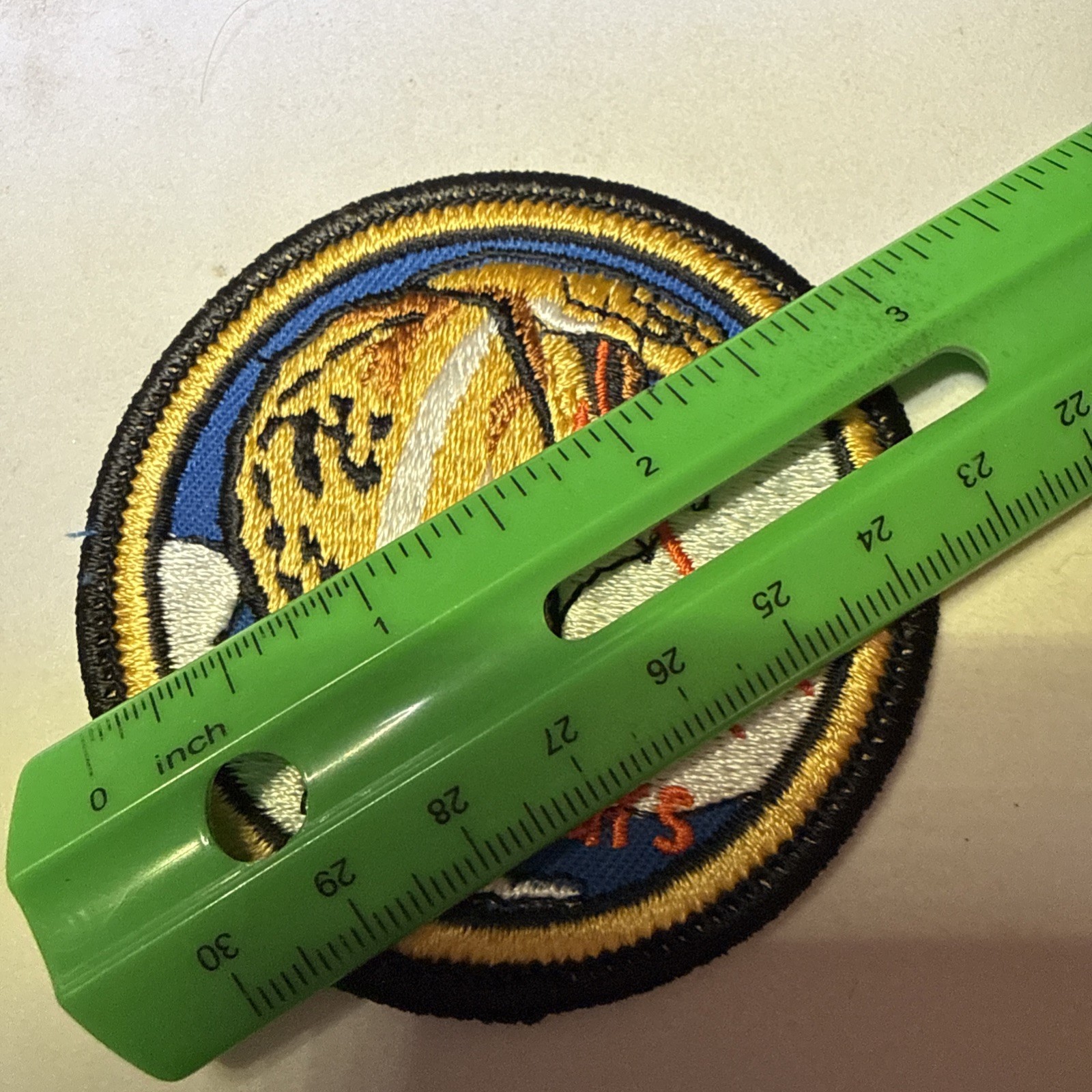 Military 39TH PURS Cobra Snake Patch #913