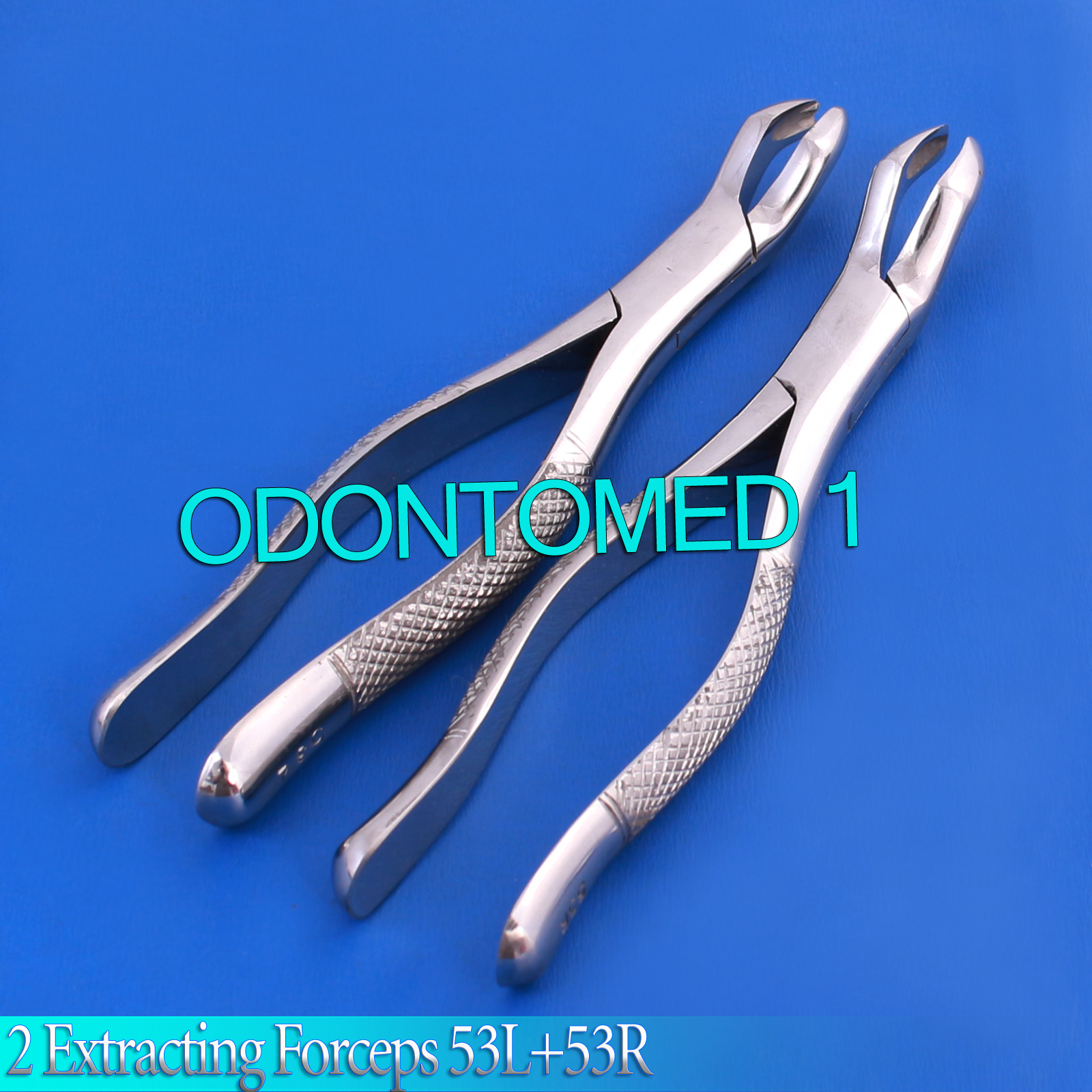 2 EXTRACTING FORCEPS 53L+53R DENTAL SURGICAL INSTRUMENTS